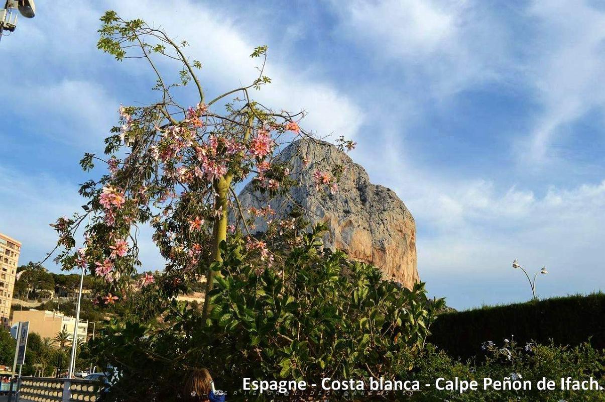 029- Calpe - Port.JPG